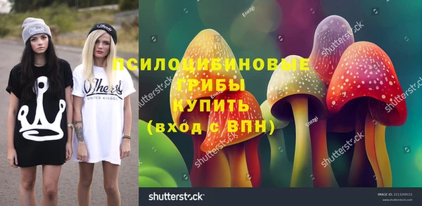 ГАЛЛЮЦИНОГЕННЫЕ ГРИБЫ Пестово