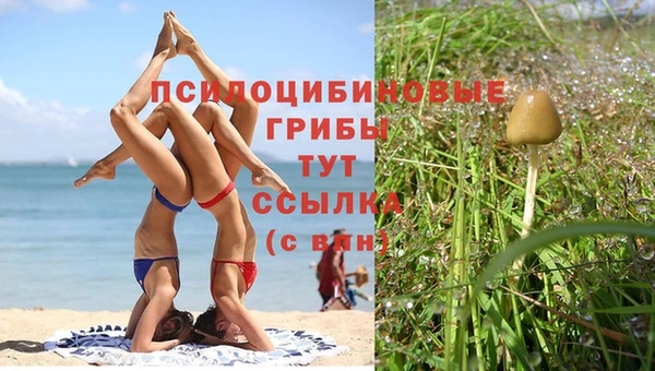 гидропоника Абинск