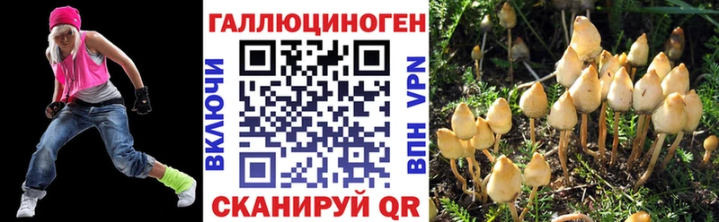Псилоцибиновые грибы GOLDEN TEACHER  OMG ССЫЛКА  Кандалакша 
